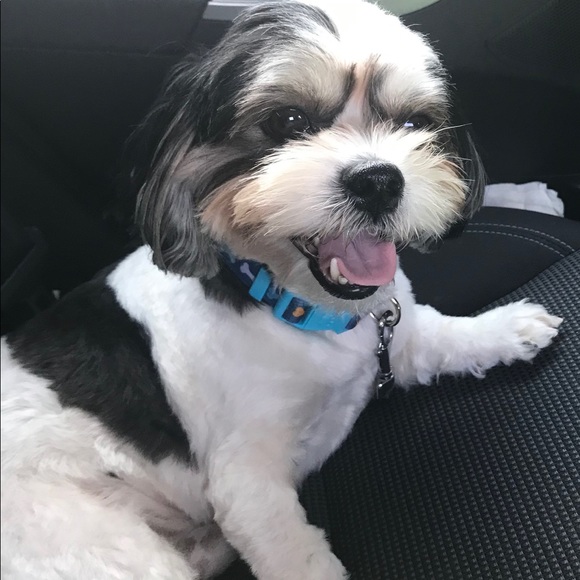 Meet your Posher, Cinnashop - Picture 2 of 7